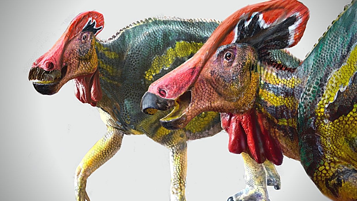 INAH y UNAM descubren nueva especie de dinosaurio como las de Parque  Jurásico - So Close