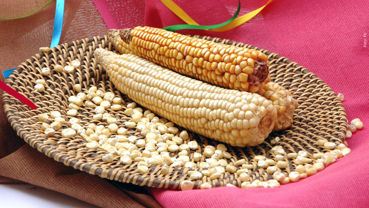 Conoce el whisky más mexicano, hecho con maíz pozolero - So Close