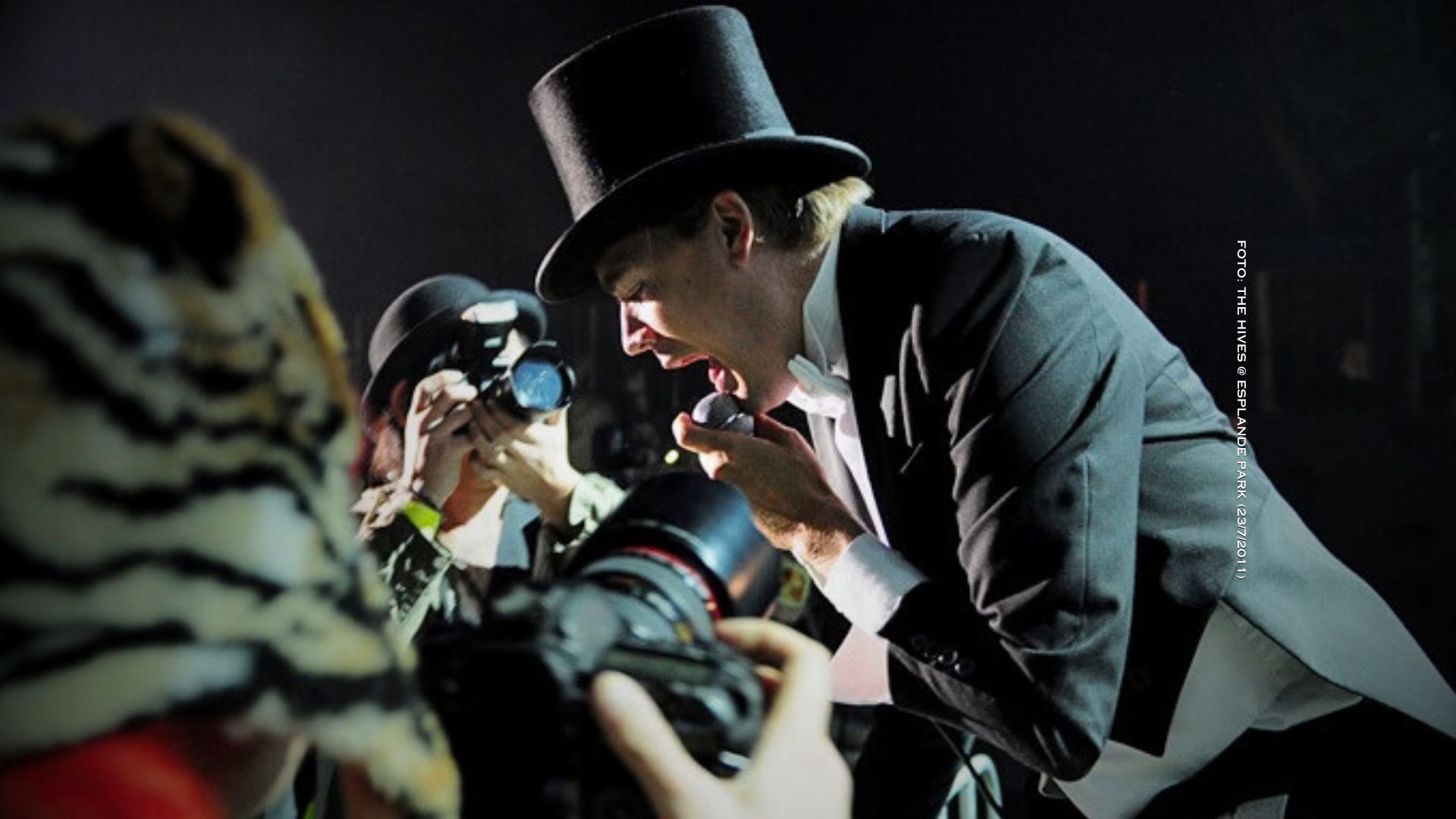The Hives